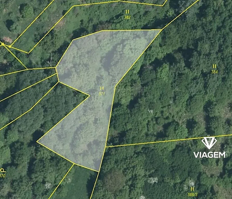 Prodej lesa 1811 m²